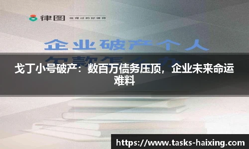 戈丁小号破产：数百万债务压顶，企业未来命运难料